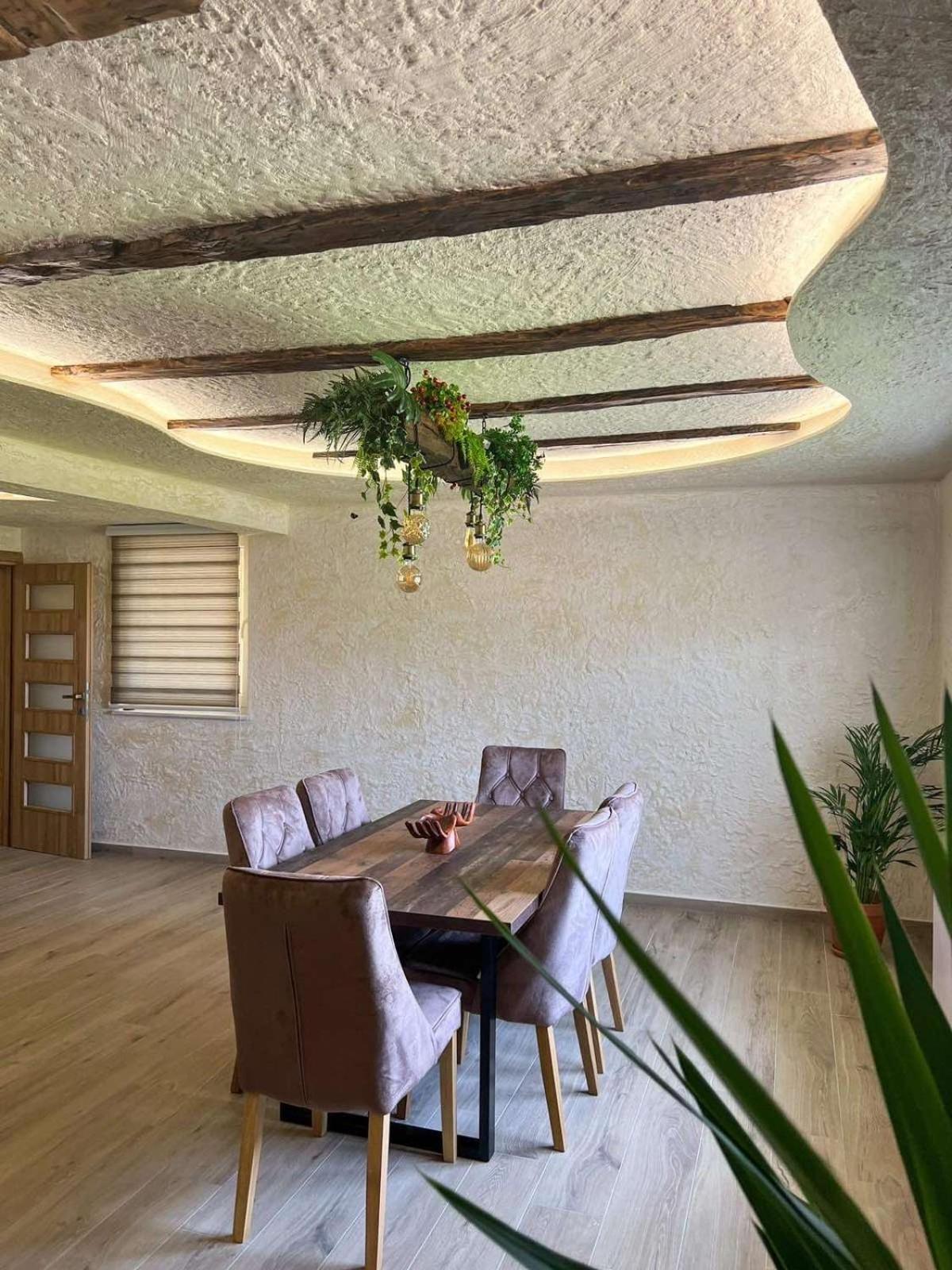 Motel Pizzeria Actros Nova Topola Zewnętrze zdjęcie
